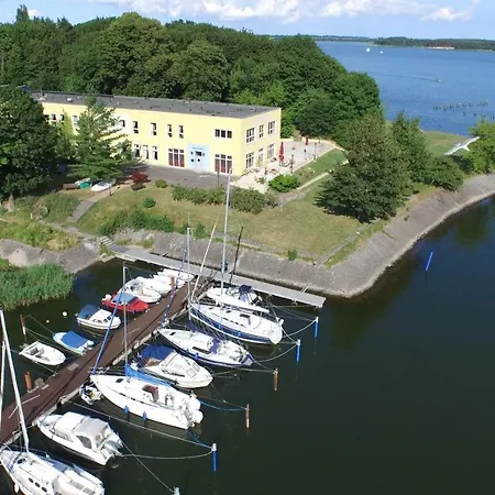 Daenholm