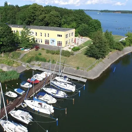 Daenholm
