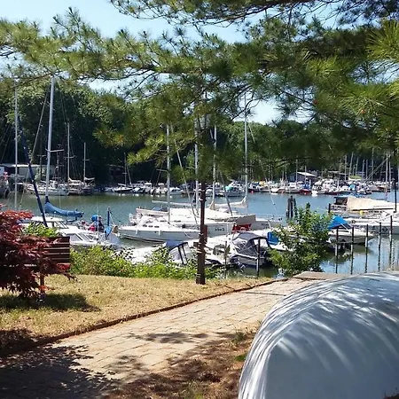 丹霍尔姆酒店 酒店 施特拉尔松德